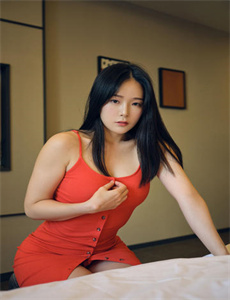 乘龙怪婿第四部